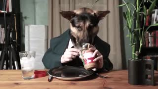 Odin Eating Like a Person